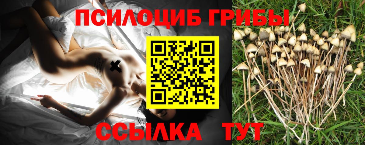 Дубна  Галлюциногенные грибы ЛСД  Вход с VPN 