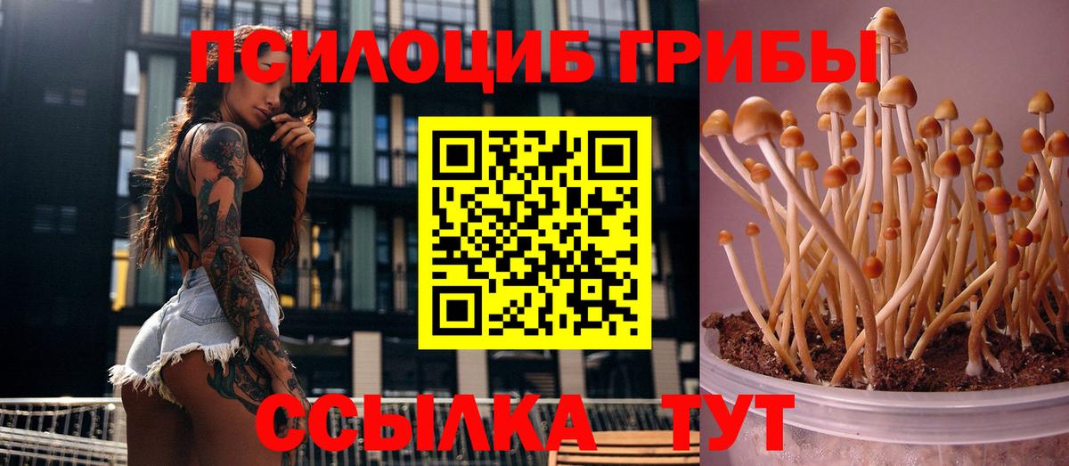 Галлюциногенные грибы прущие грибы Дубна