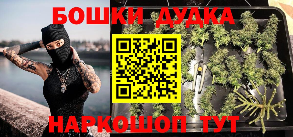 Бошки Шишки сатива Дубна